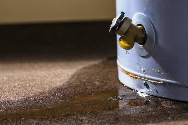 Best Professional water damage repair  in Wickenburg, AZ