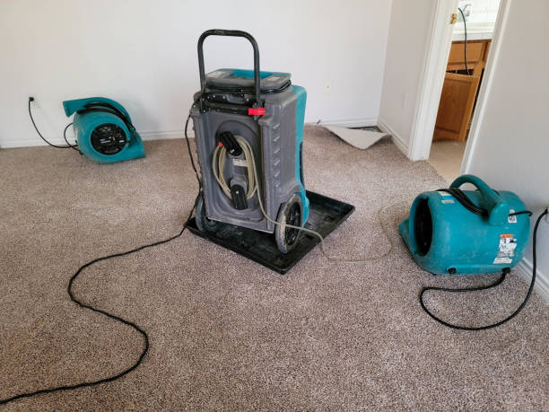 Best Water damage restoration insurance claims  in Wickenburg, AZ