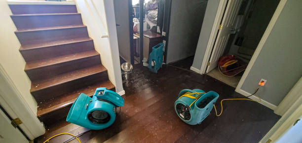 Best Flooded house restoration  in Wickenburg, AZ