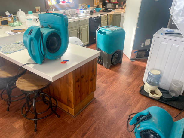 Best Water damage restoration process  in Wickenburg, AZ