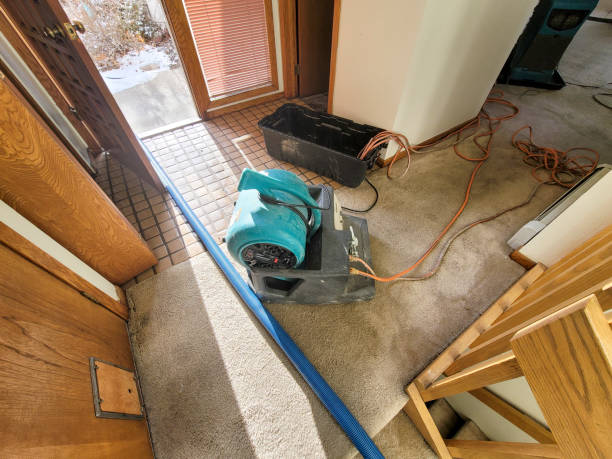 Best Flood damage cleanup  in Wickenburg, AZ