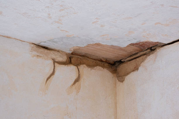 Best Water damage restoration specialists  in Wickenburg, AZ