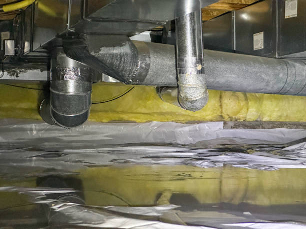 Best Basement water damage restoration  in Wickenburg, AZ