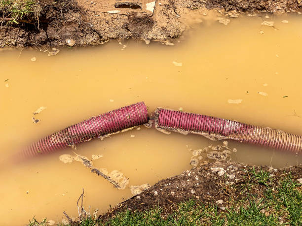  Wickenburg, AZ Water damage restoration Pros