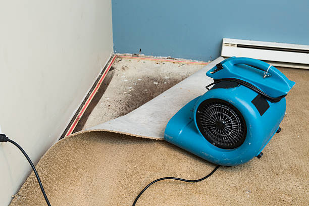 Best Fire Damage Restoration  in Wickenburg, AZ